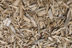 biomass boilers Forgue